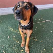 Thumbnail photo of Jax #3