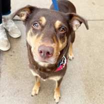 Thumbnail photo of Annie #1