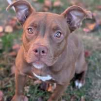 Thumbnail photo of Passion #1