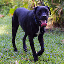 Thumbnail photo of Sunkist #3