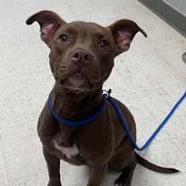 Thumbnail photo of Passion #2