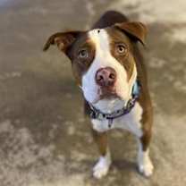 Thumbnail photo of Sasha #1