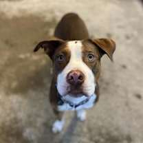 Thumbnail photo of Sasha #2