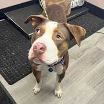 Thumbnail photo of Sasha #3