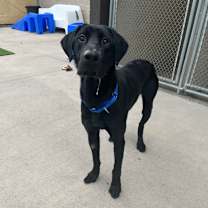 Thumbnail photo of Dudley #2