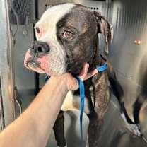 Thumbnail photo of Paige #1