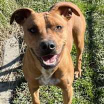 Thumbnail photo of IVORY #3