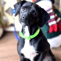 Thumbnail photo of Heleen #1