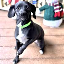 Thumbnail photo of Heleen #2