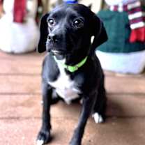 Thumbnail photo of Heleen #3