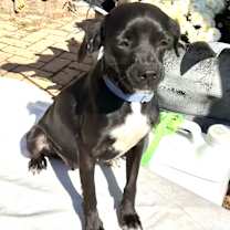 Thumbnail photo of Heleen #4