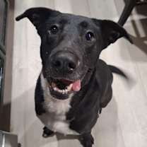 Thumbnail photo of Faren #1