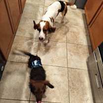 Thumbnail photo of George Jr #1