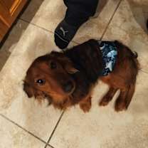 Thumbnail photo of Charlie #1