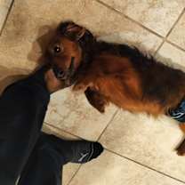 Thumbnail photo of Charlie #2