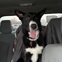 Thumbnail photo of Mazy #2