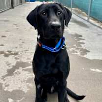 Thumbnail photo of Dudley #1