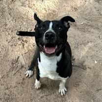 Thumbnail photo of Jerry #2