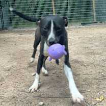 Thumbnail photo of Jerry #3