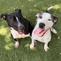 Thumbnail photo of Jerry #4