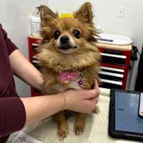 Thumbnail photo of Denver #2