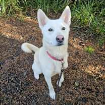 Thumbnail photo of Jax #3