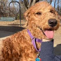 Thumbnail photo of Desmond #2