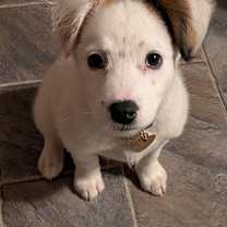 Thumbnail photo of Blitz #2