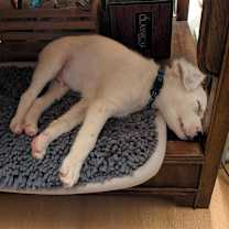 Thumbnail photo of Blitz #3