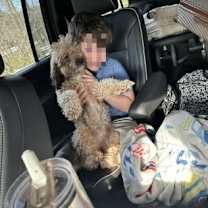 Thumbnail photo of Teddy KA #2