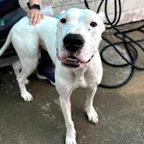 Thumbnail photo of Thora #1