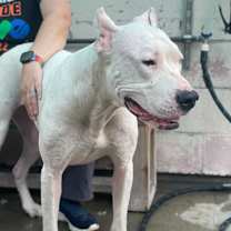 Thumbnail photo of Thora #2