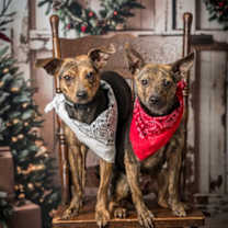 Thumbnail photo of Kendall #1