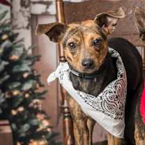 Thumbnail photo of Kendall #2