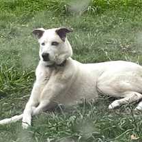 Thumbnail photo of Journey #1