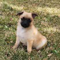 Thumbnail photo of Bingley #2