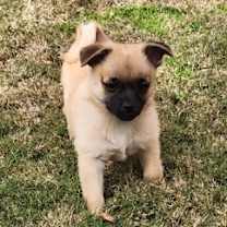 Thumbnail photo of Bingley #3