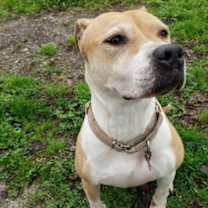 Thumbnail photo of Jewels #1