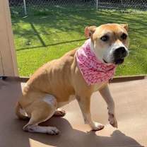 Thumbnail photo of Jewels #2