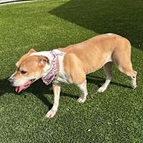 Thumbnail photo of Jewels #3