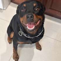 Thumbnail photo of Nina #1