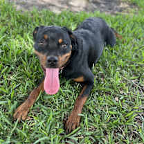 Thumbnail photo of Nina #2