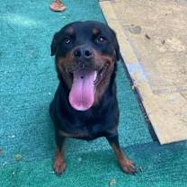 Thumbnail photo of Nina #4