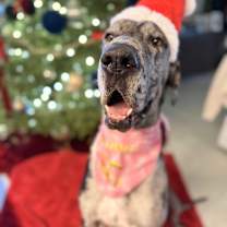 Thumbnail photo of Buttercup #1