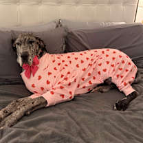 Thumbnail photo of Buttercup #4