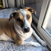 Thumbnail photo of Myla #1