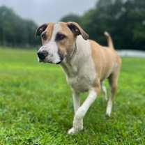 Thumbnail photo of Myla #3