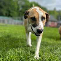 Thumbnail photo of Myla #4