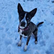 Thumbnail photo of Gia #1