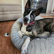 Thumbnail photo of Gia #2